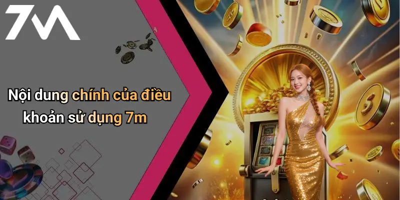 Nội dung chính của điều khoản sử dụng 7m