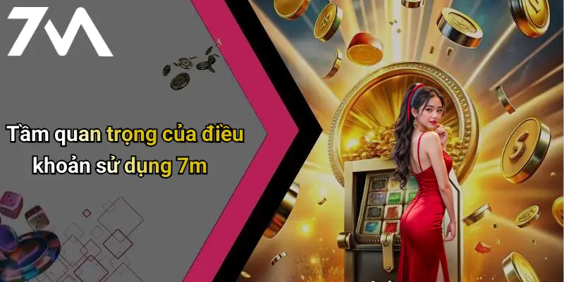 Tầm quan trọng của điều khoản sử dụng 7m