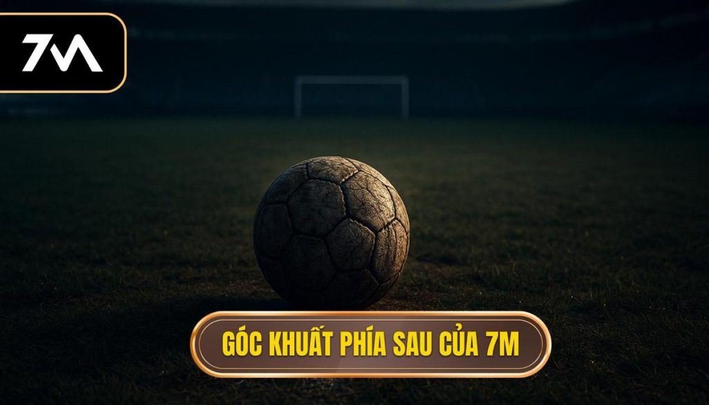 Góc khuất phía sau của 7M: Phân tích chuyên sâu từ hotelgalia.com 4 Góc khuất phía sau của 7M