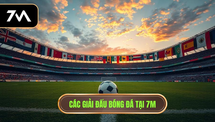 7M có đầy đủ giải đấu không? Review chi tiết hệ thống kèo 7M 1 Các giải đấu bóng đá tại 7m