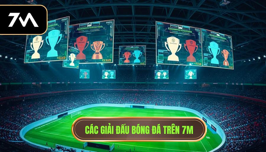7M có đầy đủ giải đấu không? Review chi tiết hệ thống kèo 7M 2 Các giải đấu bóng đá trên 7M